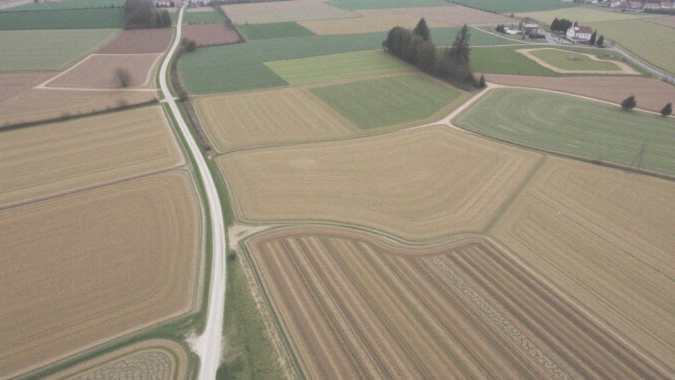 Jakie informacje są potrzebne do wniosku o wyłączenie gruntu z produkcji rolnej?