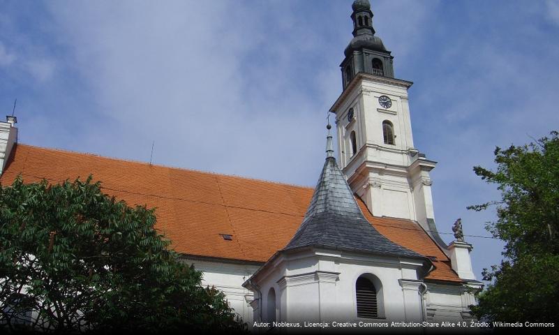 Kościół Najświętszej Maryi Panny Niepokalanie Poczętej w Wolsztynie