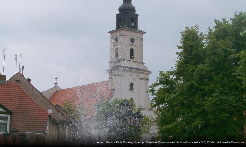 Parafia Najświętszej Maryi Panny Niepokalanie Poczętej w Wolsztynie