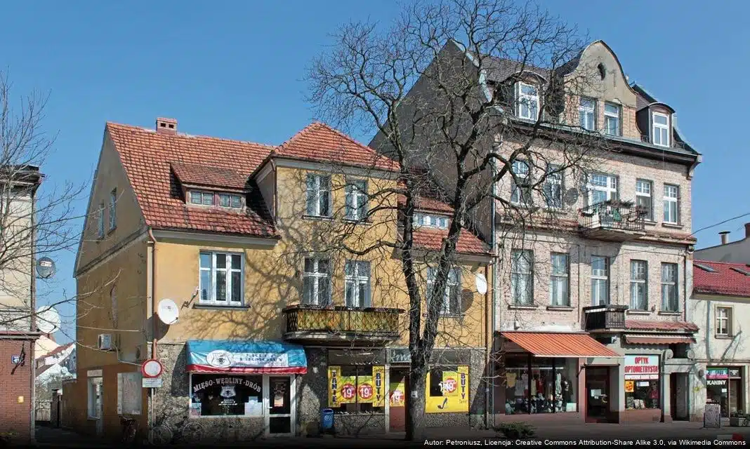 Wybory na Super Dzielnicowego 2026 – Głosuj na swojego dzielnicowego w Gminie Siedlec