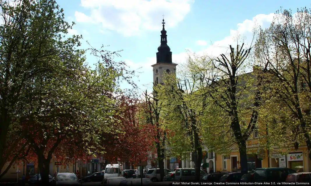 Surowe konsekwencje jazdy wbrew sądowemu zakazowi w Wolsztynie